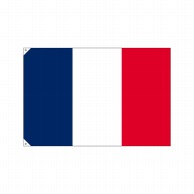 >【直送品】 P・O・Pプロダクツ 国旗　販促用 大 23675　フランス 1枚（ご注文単位1枚）