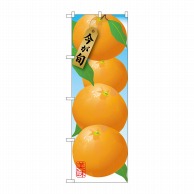 【直送品】 P・O・Pプロダクツ のぼり  SNB－1447　みかん　オレンジ 1枚（ご注文単位1枚）