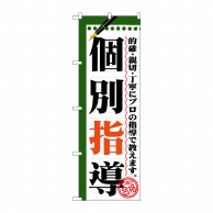 P・O・Pプロダクツ のぼり  GNB-1561　個別指導 1枚（ご注文単位1枚）【直送品】