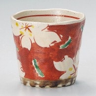 山万 赤絵　桜ロックカップ  35414－579 1個（ご注文単位1個）【直送品】