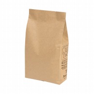 ヤマニパッケージ ガゼット袋 100g　インナーバルブ付 COT－921　茶クラフト 100枚/束（ご注文単位20束）【直送品】