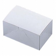 【直送品】 紙製　洋生カートン　白　02067 NO．3（25枚入）  1個（ご注文単位1個）