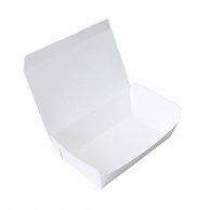 【直送品】 北原産業 紙製食品容器　テイクボックス 100　大－平　無地　PP 25枚/袋（ご注文単位48袋）