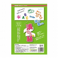 欧文印刷 ホワイトボードマーカー用シート　消せる紙 A4判　無地　8枚 PNCGSA4W08 1束（ご注文単位1束）【直送品】