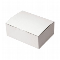 【直送品】 ペーパークラフト 食品箱　白無地箱　TJN－5  100034 100枚/袋（ご注文単位6袋）