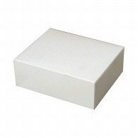 【直送品】 ペーパークラフト 食品箱　白無地箱　10個入 白中－10 120010 100枚/袋（ご注文単位6袋）