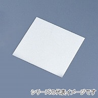 アクリル製　ケーキプレート　正角 板厚3mm　21cm用 606000180 1個（ご注文単位1個）【直送品】