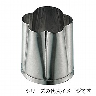 >孝義　生抜 ヨコウメ　A 373007780 1個（ご注文単位1個）【直送品】