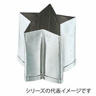 孝義　生抜 ホシ　A 373007320 1個（ご注文単位1個）【直送品】