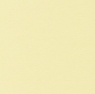 【直送品】 星野 ベーシックカード M　14．クリーム　323094 50枚/箱（ご注文単位1箱）