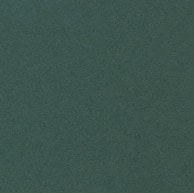 【直送品】 星野 ベーシックカード S　16．ダークグリーン　323076 50枚/箱（ご注文単位1箱）