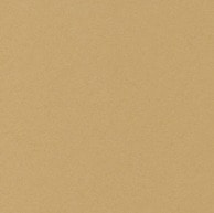 星野 ベーシックカード S　6．キャメル　323016 50枚/箱（ご注文単位1箱）【直送品】