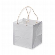 【直送品】星野 手提げ紙袋　キャリーバッグ K－M 1　ホワイト　314117 100枚/束（ご注文単位1束）