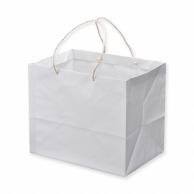 >【直送品】星野 手提げ紙袋　キャリーバッグ K－L 1　ホワイト　314116 100枚/束（ご注文単位1束）