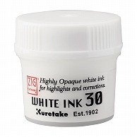 呉竹 カラーインク　ZIG　CARTOOONIST WHITE　INK　30g CNCE201－3 1本（ご注文単位10本）【直送品】