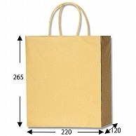 HEIKO 紙袋 PBスムースバッグ M-1 金 10枚