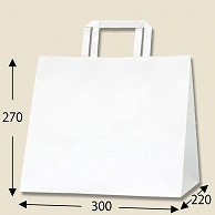 HEIKO 紙袋 Hフラットチャームバッグ 300-1(平手) N白無地 50枚