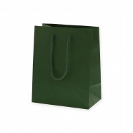 >HEIKO 紙袋 カラーチャームバッグ 20-12 グリーン 10枚
