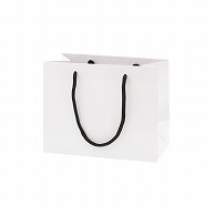 HEIKO 紙袋 ブライトバッグ 23-12 白(マットPP貼り) 10枚