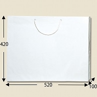 HEIKO 紙袋 ブライトバッグ L 白 10枚