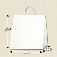 HEIKO 紙袋 ワイドバッグ S Nホワイト 10枚