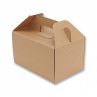 HEIKO 箱 ネオクラフト キャリーボックス M ケーキ4～5個用 20枚