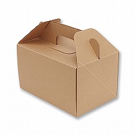 HEIKO 箱 ネオクラフト キャリーボックス LL ケーキ8～9個用20枚