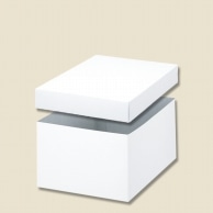 HEIKO 箱 バラエティボックス 0-11-100 10枚