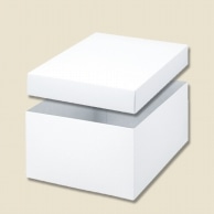 HEIKO 箱 バラエティボックス 0-12-115 10枚