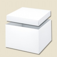 HEIKO 箱 バラエティボックス 0-23-150 10枚