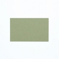 HEIKO 色無地カード 名刺サイズ アップルグリーン 30枚