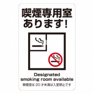 HEIKO ピクトグラムステッカー ML 喫煙専用室あります 1枚