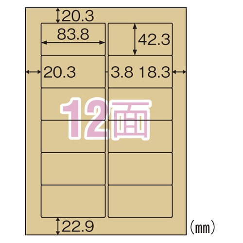 OPC861 クラフト紙ラベルライト　１２面 1パック (ご注文単位1パック)【直送品】