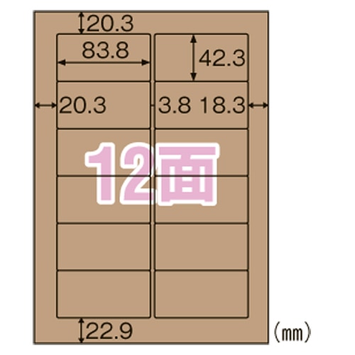 OPD861 クラフト紙ラベルダーク　１２面 1パック (ご注文単位1パック)【直送品】