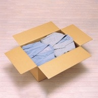 【直送品】 アイリスオーヤマ ダンボールボックス DB－L4 553544 10枚/袋（ご注文単位1袋）