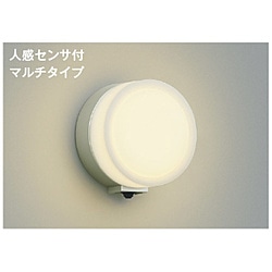 コイズミ　ＫＯＩＺＵＭＩ LEDポーチ灯 AU38134L 1個（ご注文単位1個）【直送品】