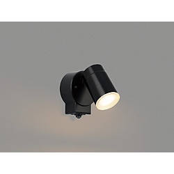 コイズミ　ＫＯＩＺＵＭＩ LED防雨型スポットライト BU190005B BU190005B 1個（ご注文単位1個）【直送品】