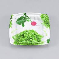 >【直送品】 シーピー化成 惣菜容器　BFエコD　本体 11－11B サラダ 50個/袋（ご注文単位48袋）