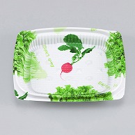 【直送品】 シーピー化成 惣菜容器　BFエコD　本体 13－11B サラダ 50個/袋（ご注文単位40袋）