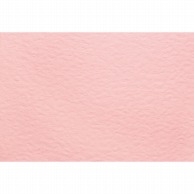 【直送品】 東京リボン カラーカード　プライスカード　82211 M ＃1 1袋（ご注文単位1袋）