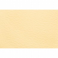 東京リボン カラーカード　プライスカード　82211 M ＃2 1袋（ご注文単位1袋）【直送品】