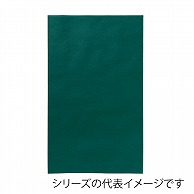 【直送品】 エーワン 不織布平袋 ソフトバッグベーシック S6厚 グリーン LS0116AS00 50枚/束（ご注文単位1束）