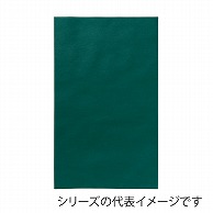 【直送品】 エーワン 不織布平袋 ソフトバッグベーシック S7厚 グリーン LS0117AS00 50枚/束（ご注文単位1束）
