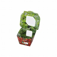 【直送品】 エフピコチューパ サラダ・フルーツ容器　紙ベジ 85角　FSM トマト 50枚/袋（ご注文単位12袋）