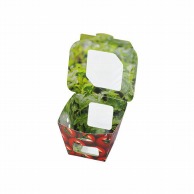 【直送品】 エフピコチューパ サラダ・フルーツ容器　紙ベジ 95角　FSM トマト 50枚/袋（ご注文単位12袋）