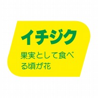 ヒカリ紙工 シール　SMラベル 1000枚入 F0864 イチジク　1袋（ご注文単位1袋）【直送品】
