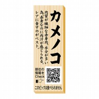 ヒカリ紙工 シール　SMラベル 100枚入 P0095 カメノコ ピック　1袋（ご注文単位1袋）【直送品】