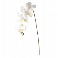【直送品】 ビバ工芸 造花　ファレノプシス ホワイト VA2524 1本（ご注文単位1本）