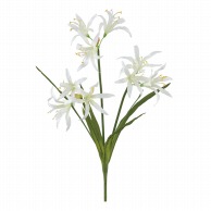 【直送品】 ビバ工芸 造花　ワイルドネリネリリィ ホワイト VA2531 1本（ご注文単位1本）