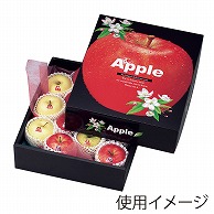 ヤマニパッケージ ギフト箱　りんごの国から  L－419 10枚/束（ご注文単位3束）【直送品】